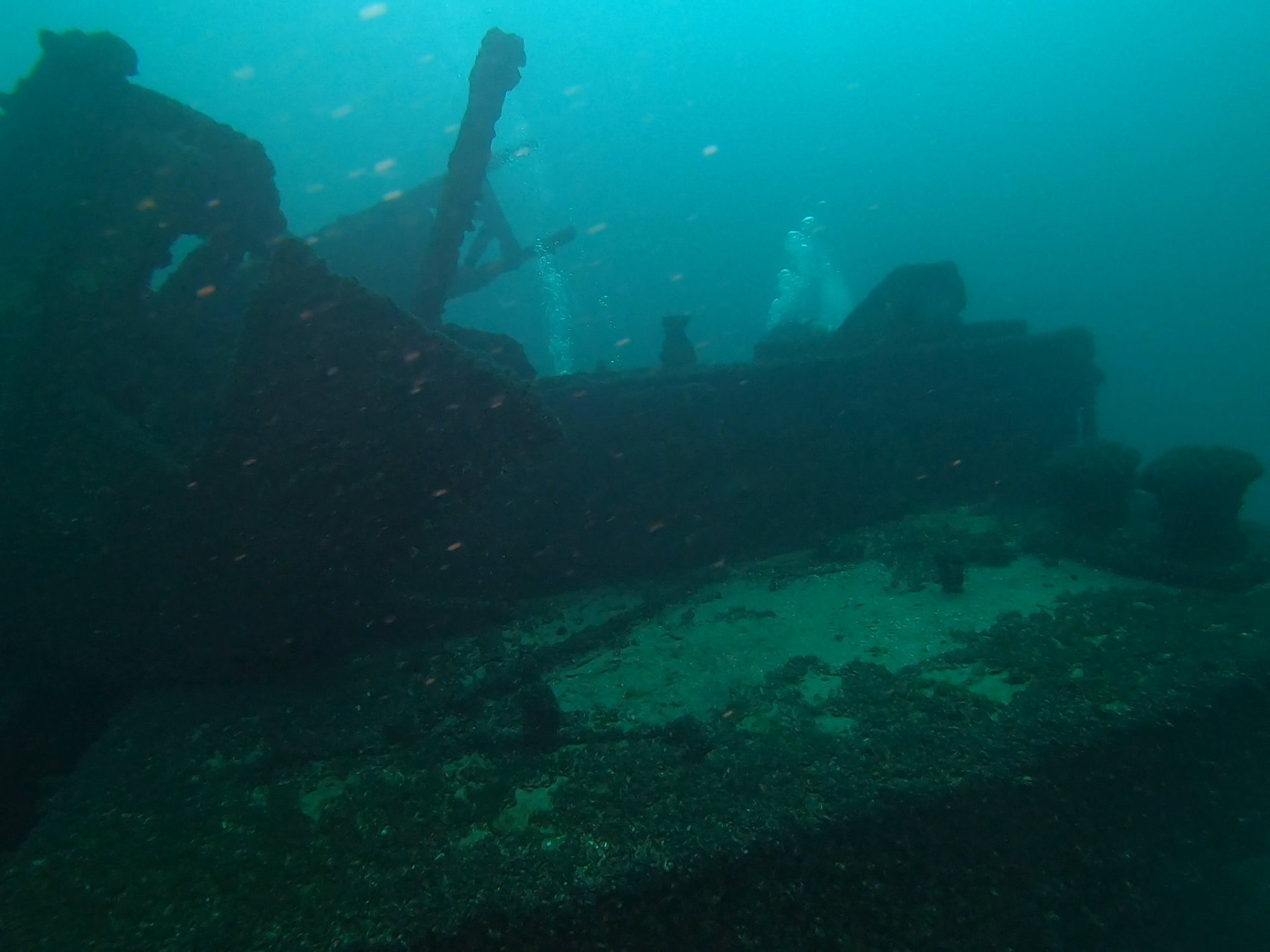 Barge 135 survey photograph, frame 17