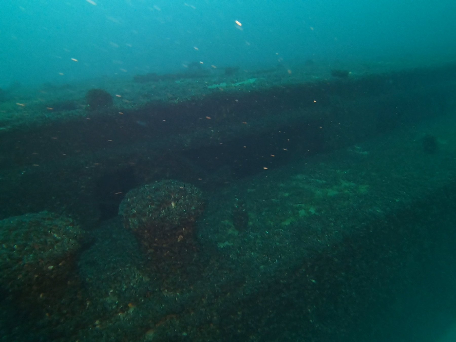 Barge 135 survey photograph, frame 21