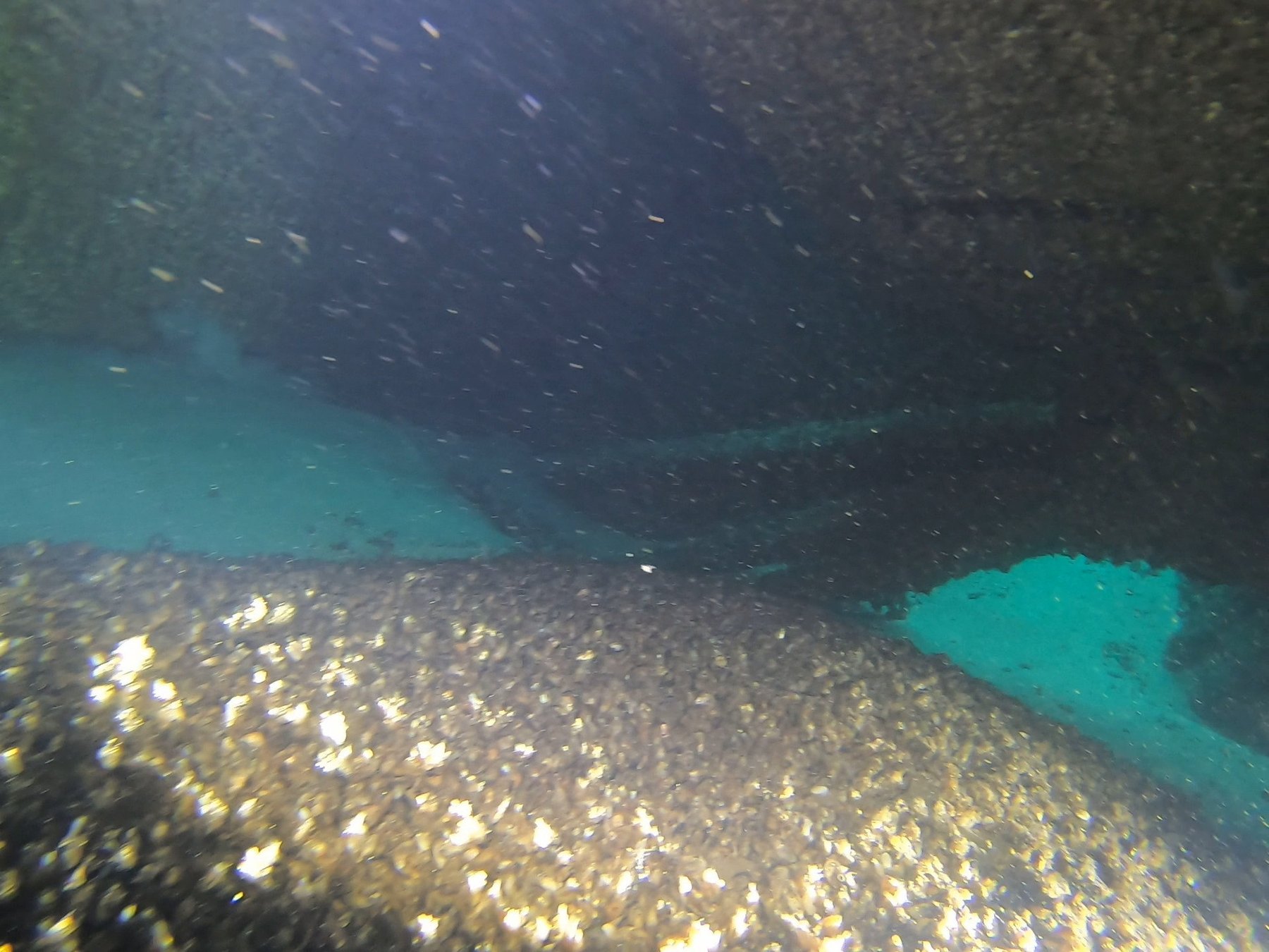 Keith\u2019s Barge survey photograph, frame 06