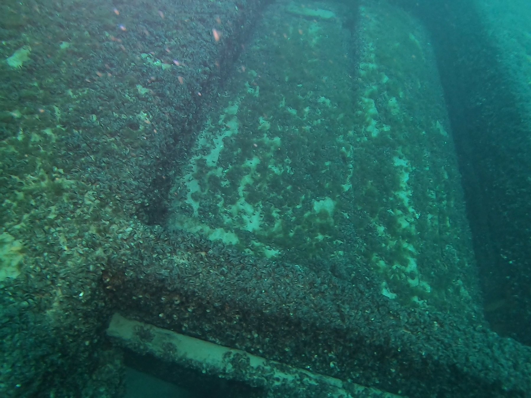 Keith\u2019s Barge survey photograph, frame 09