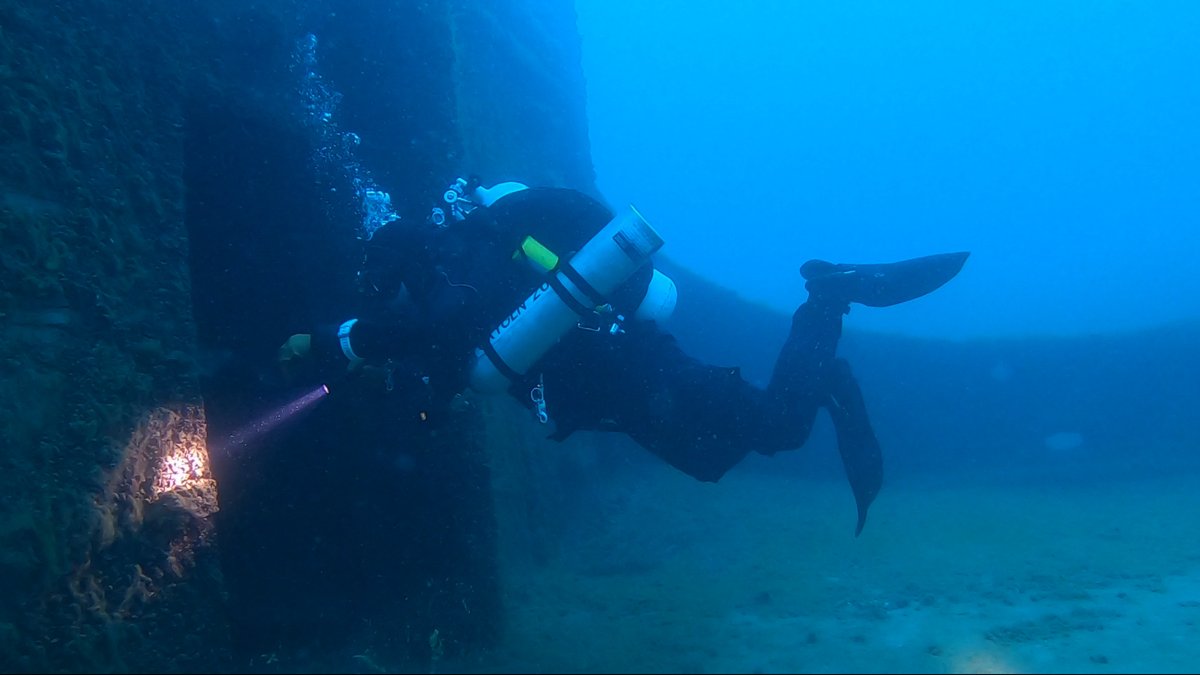 Diver shining a light on a wreck wall