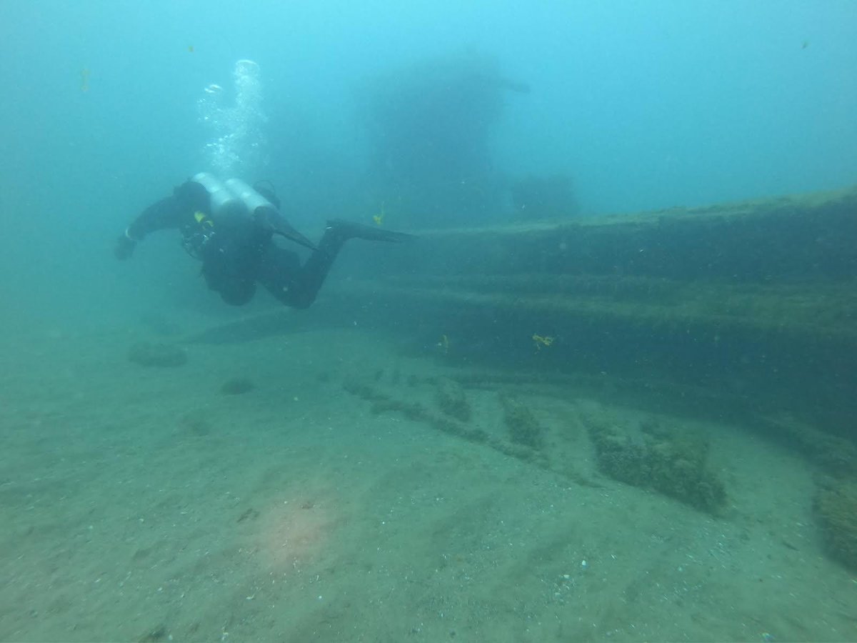 A diver approaching a wreck's superstructure over a sandy bottom