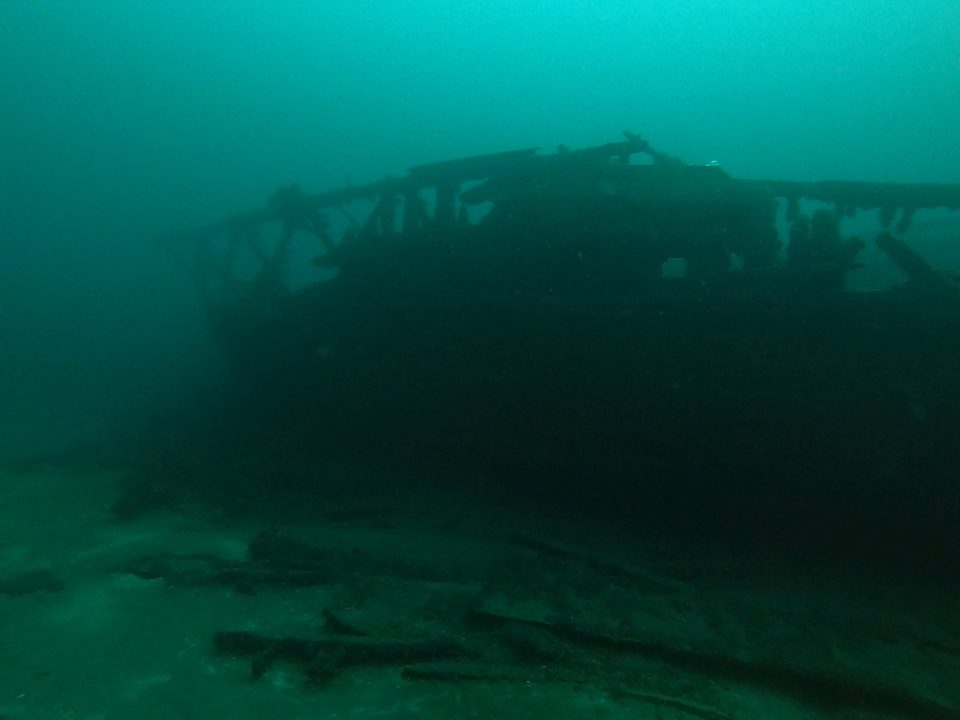 Bud’s Steamer, photo 01