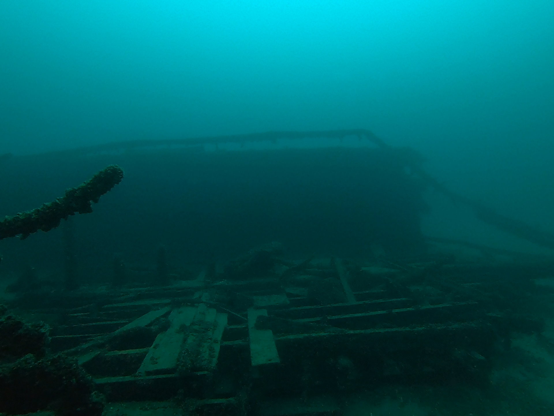 Bud’s Steamer, photo 03