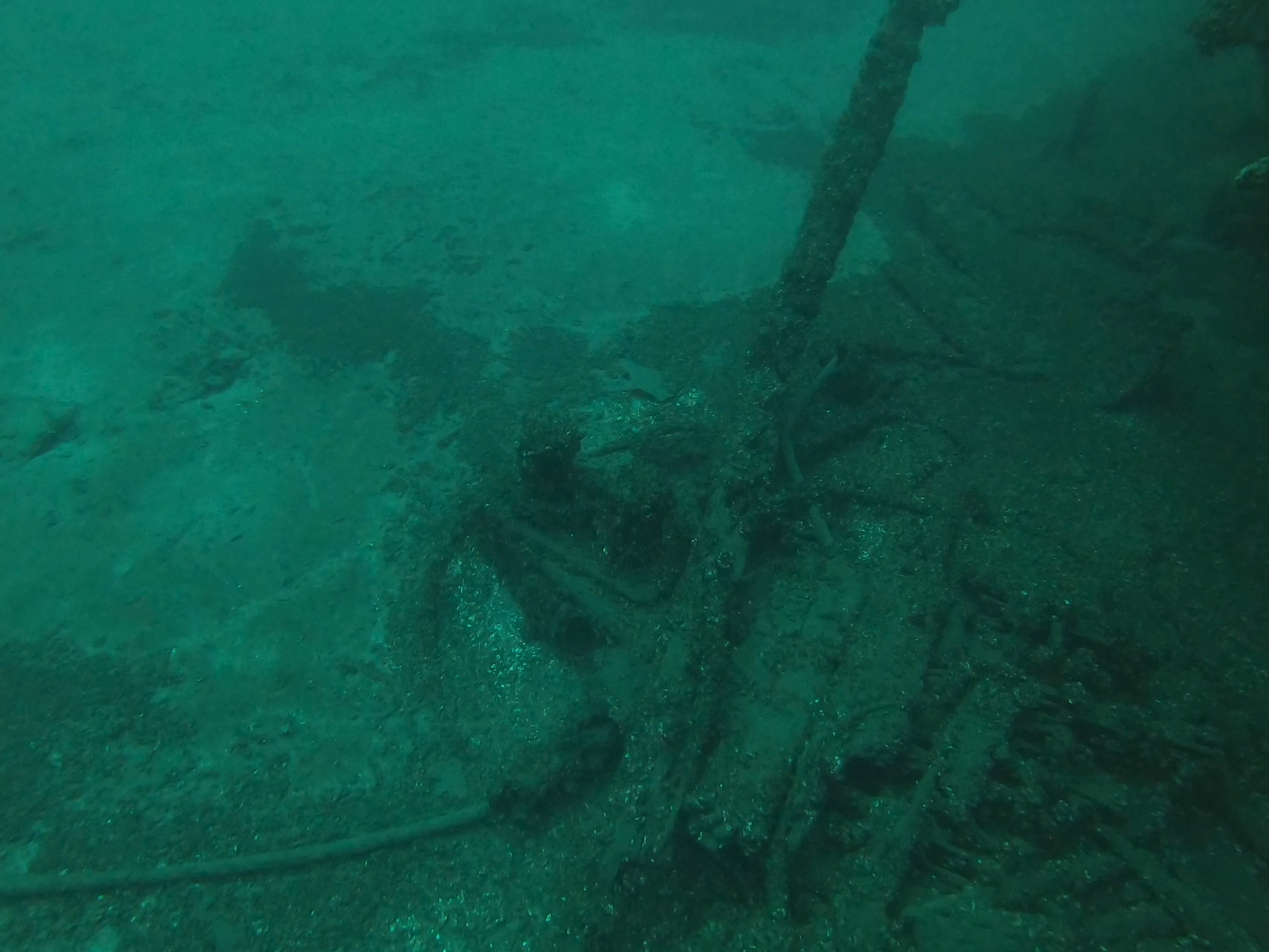 Bud’s Steamer, photo 06